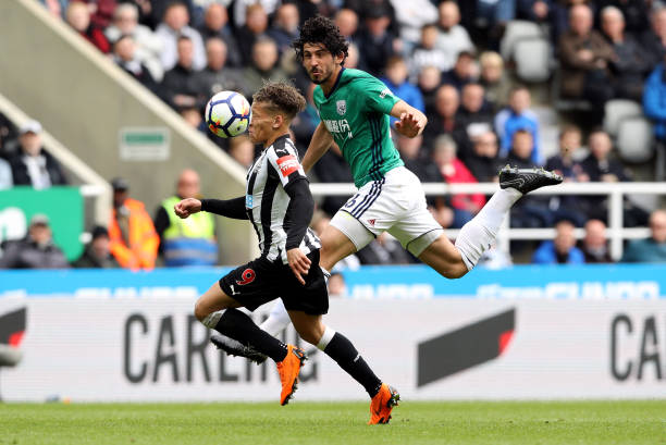 这显示出 这显示出